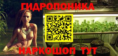 альфа пвп Новодвинск