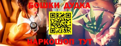 альфа пвп Новодвинск