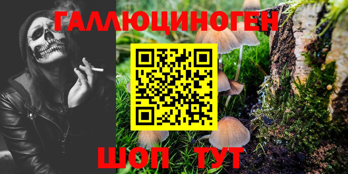 Псилоцибиновые грибы GOLDEN TEACHER Рассказово