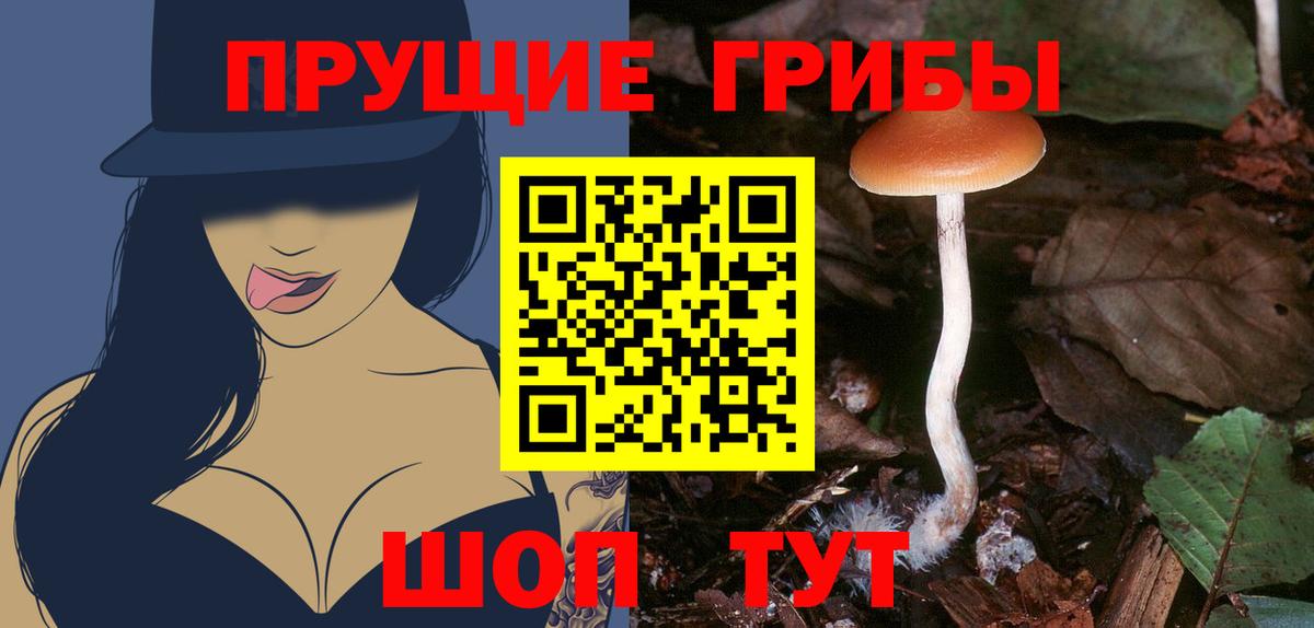 Псилоцибиновые грибы Psilocybine cubensis  Галлюциногенные грибы MAGIC MUSHROOMS  Рассказово  Вход с VPN 